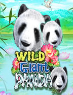 โค้ดเครดิตฟรี ufabet วิธีเล่นเกมสล็อต Spade Gaming